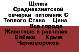 Щенки Среднеазиатской овчарки (питомник С Теплого Стана) › Цена ­ 20 000 - Все города Животные и растения » Собаки   . Крым,Черноморское